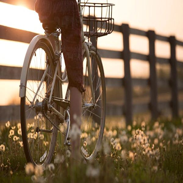 Cycling accident
